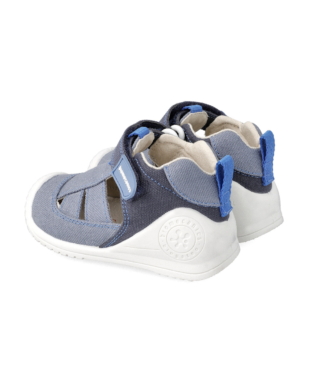 Aranha de tecido bicolor - Biomecanics