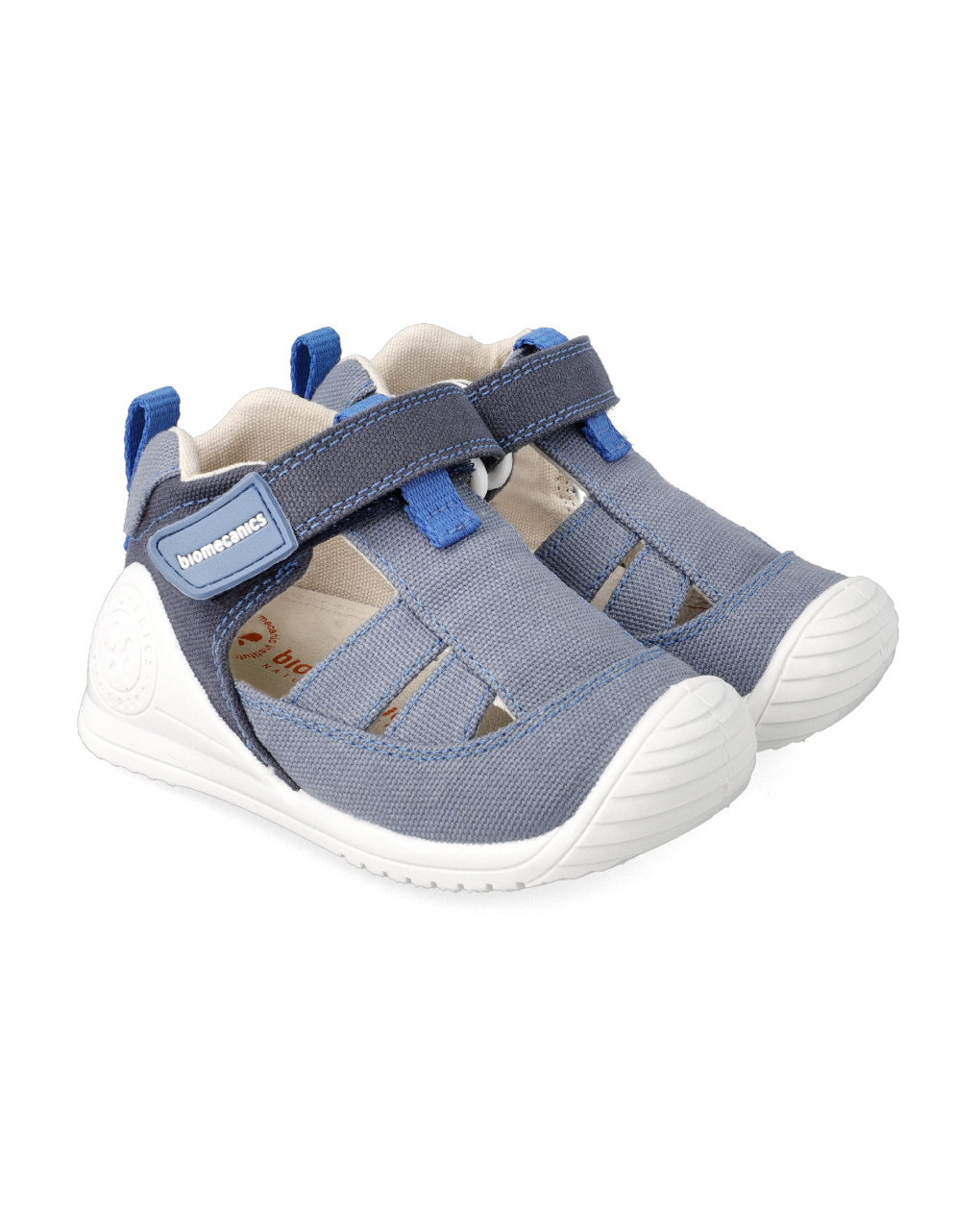 Aranha de tecido bicolor - Biomecanics