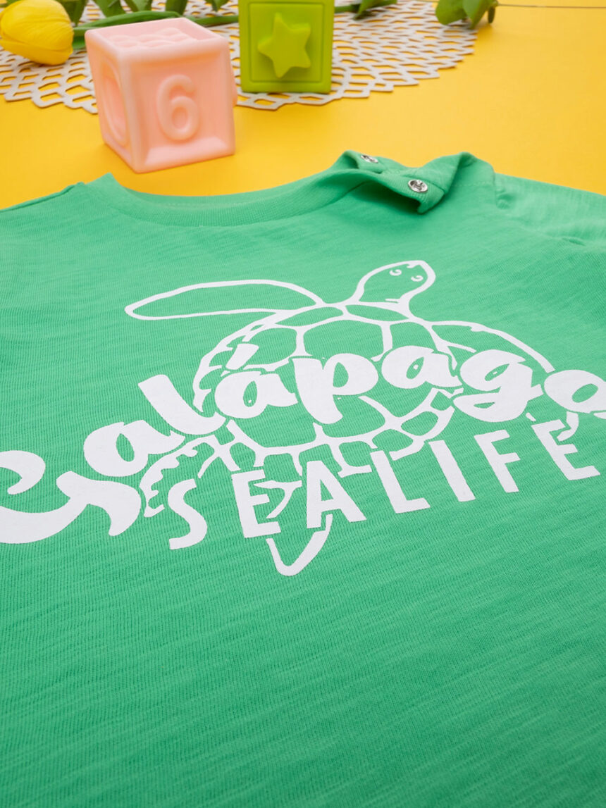 T-shirt menino verde "galápagos" - Prénatal