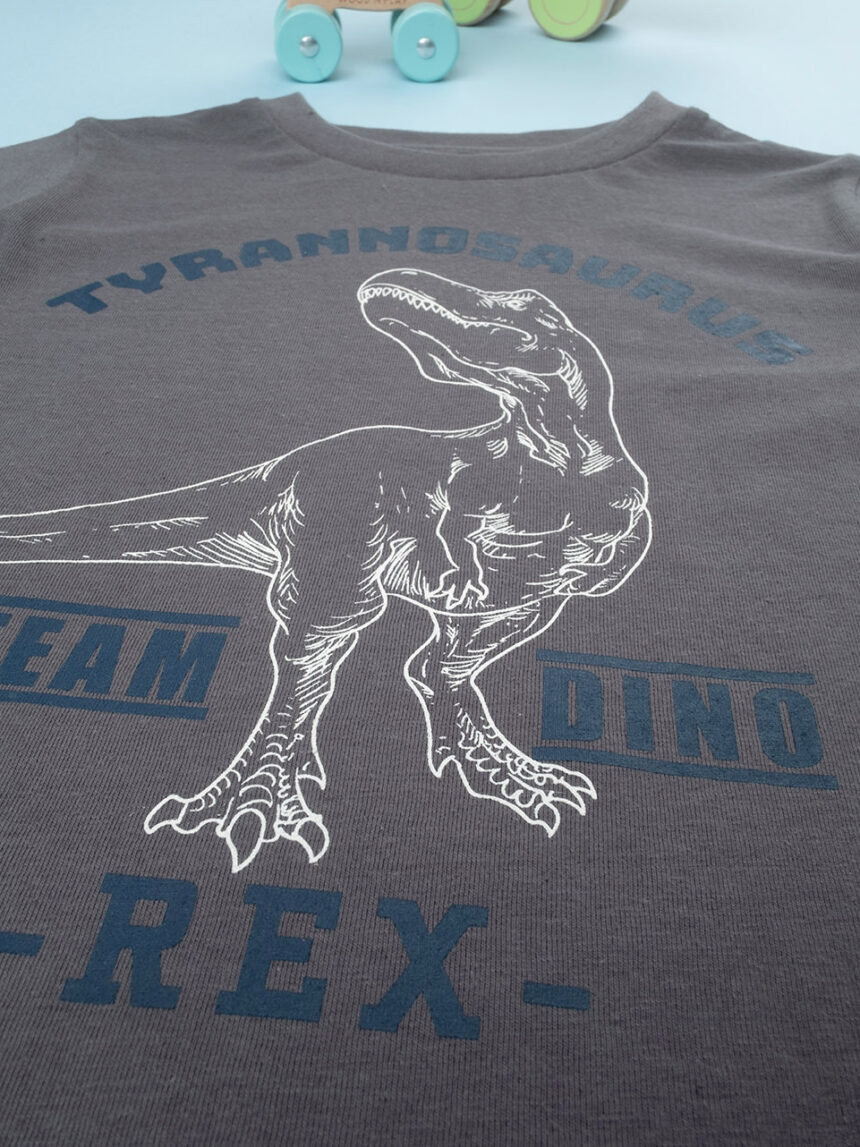 T-shirt básica de manga comprida para crianças 100% algodão 'dinossauro' - Prénatal